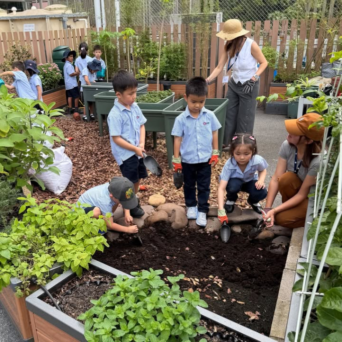 677805753_951408550591961_7789492432358396494_n