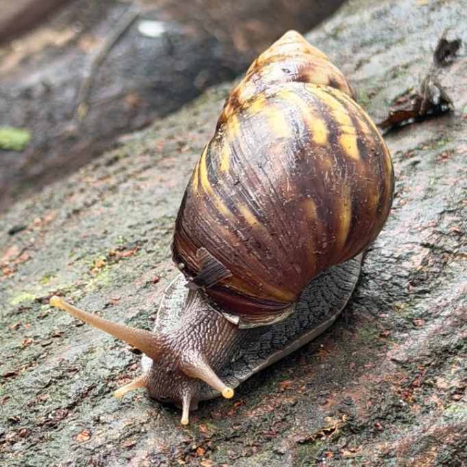 656427076_928775079521975_911551902758563803_n