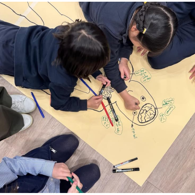 611704556_869411742124976_6876036571035754781_n