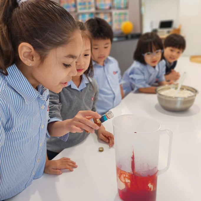 643899134_910351571364326_3078693674528324886_n