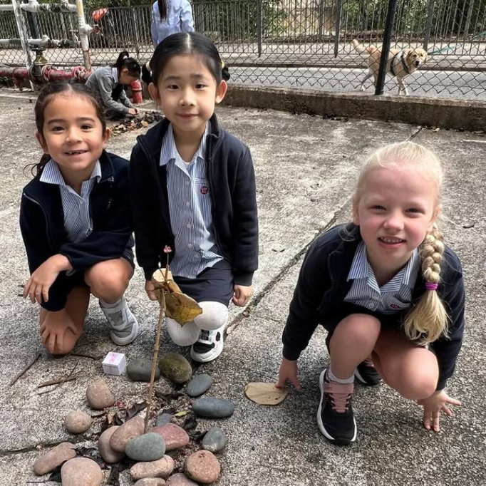 650267380_918415973891219_8011338551677086070_n