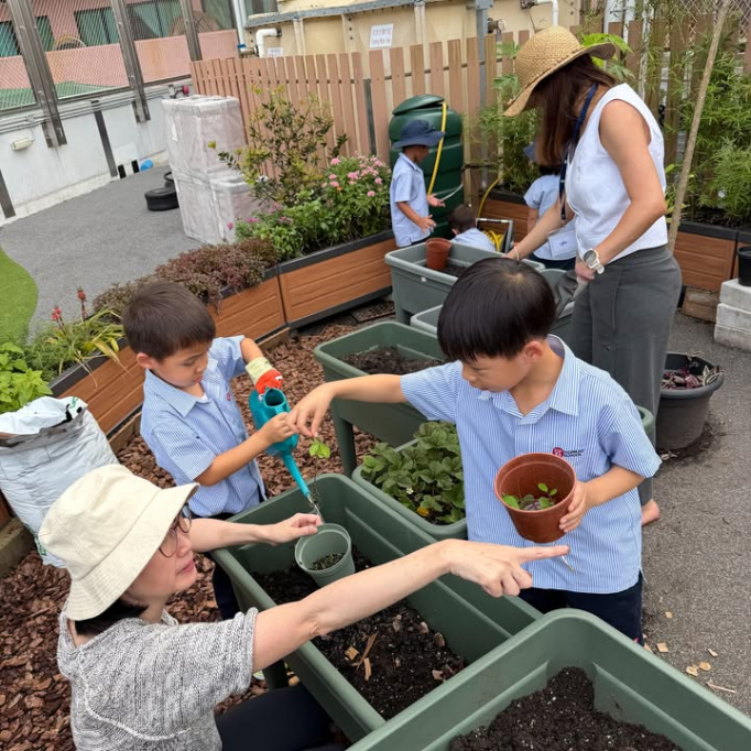 674925512_951408537258629_84070829103009970_n