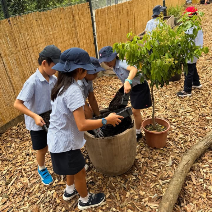 657723427_928775309521952_2331379843103466256_n