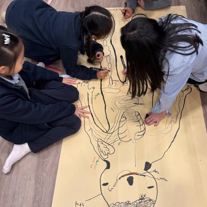 612304139_869411762124974_4989811249420834886_n