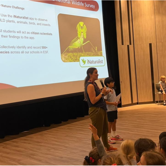 680038950_954871950245621_7987078444343645387_n