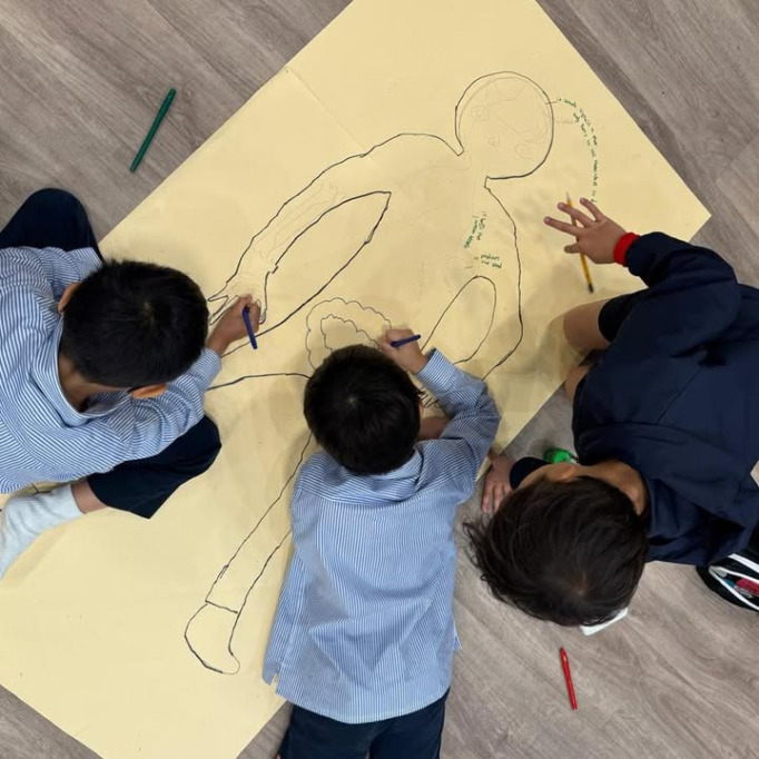 611009442_869411708791646_2606784690472252052_n