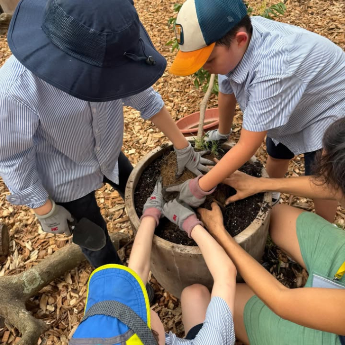 657276593_928775119521971_8138998293795857471_n