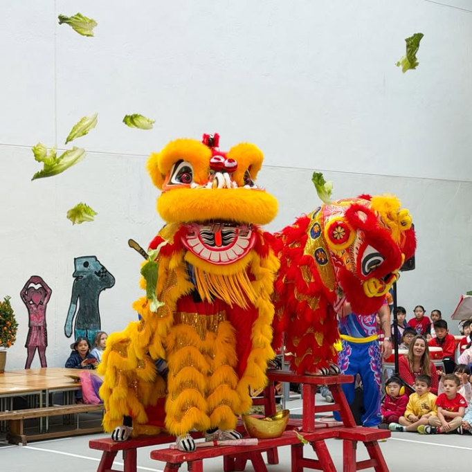 637407286_901235278942622_7073670691797150794_n