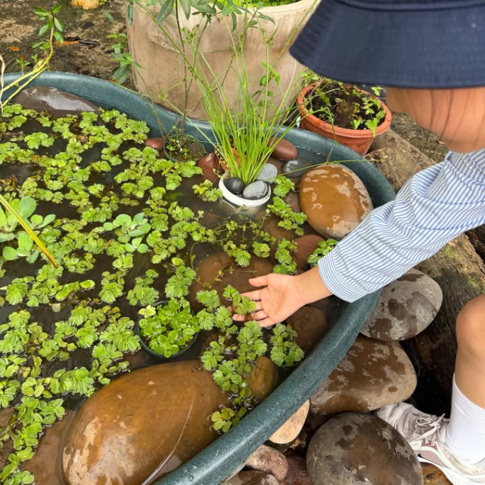 656639049_928775149521968_1479049883404492400_n