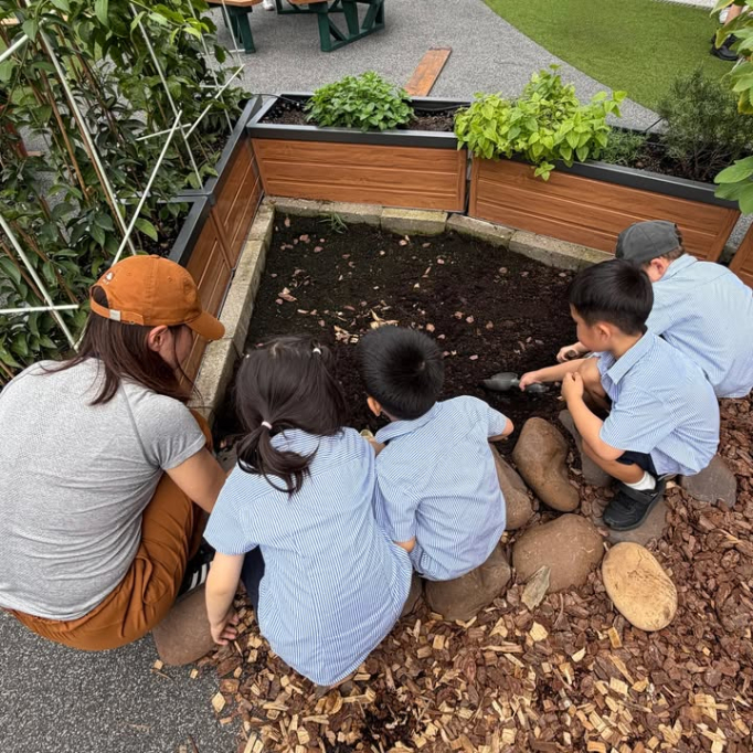 677986074_951408563925293_656888077219283301_n