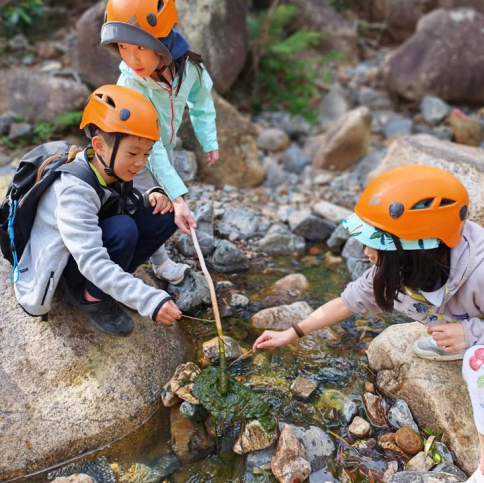 594562847_845001501232667_2892229963654923854_n